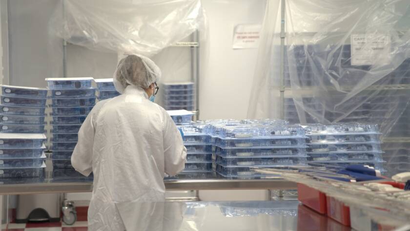 medical device manufacturing