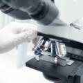 Navigating Medical Device Regulatory Compliance: What the Work Actually Looks Like